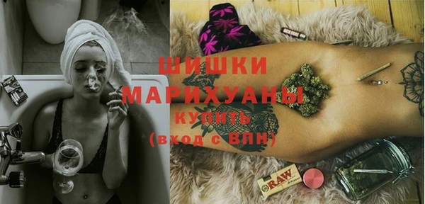 СК Протвино
